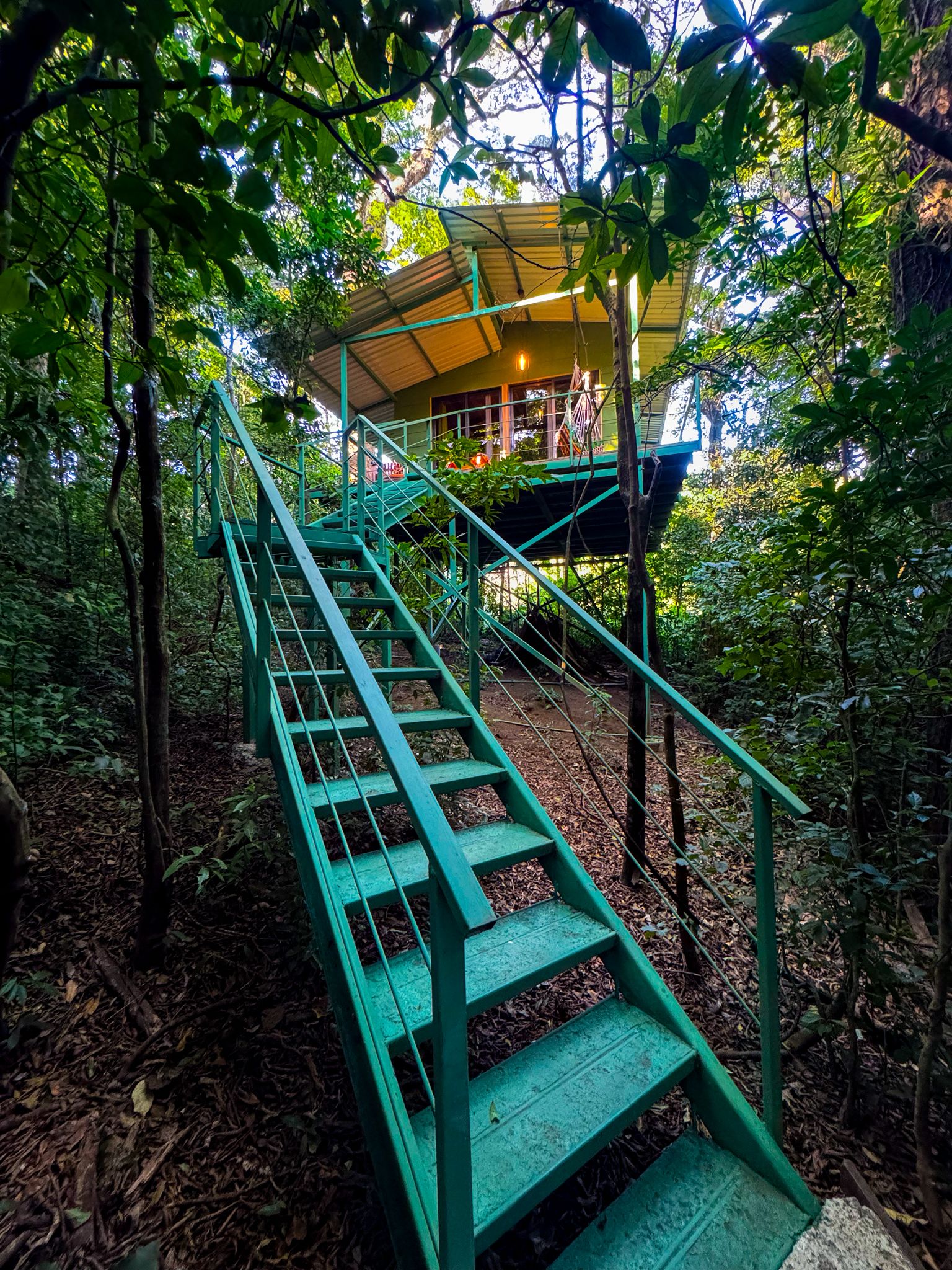Pico Iris Tree House